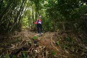 BIB: 
                            <button type="button" onclick="openModal(21785912)" class="btn btn-primary btn-sm float-right btn-popup" data-toggle="modal" data-target=".modal-high-quality">
                        <i class="fas fa-shopping-cart"></i> Add to Cart
                    </button>
                                            <button type="button" onclick="isThisMe(21785912, true)" class="btn btn-success btn-sm float-right btn-popup btn-isme hidden" data-toggle="tooltip" data-placement="bottom" title="นี่คือรูปของคุณใช่ไหม คลิกที่นี่เพื่อเอาเข้าอัลบั้ม">
                        <i class="fas fa-plus"></i> Add to album
                    </button>
                    <button type="button" onclick="isThisMe(21785912, false)" class="btn btn-warning btn-sm float-right btn-popup btn-isnotme hidden">
                        <i class="fas fa-ban"></i> Remove from album
                    </button>