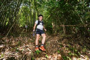 BIB: 
                            <button type="button" onclick="openModal(21744919)" class="btn btn-primary btn-sm float-right btn-popup" data-toggle="modal" data-target=".modal-high-quality">
                        <i class="fas fa-shopping-cart"></i> Add to Cart
                    </button>
                                            <button type="button" onclick="isThisMe(21744919, true)" class="btn btn-success btn-sm float-right btn-popup btn-isme hidden" data-toggle="tooltip" data-placement="bottom" title="นี่คือรูปของคุณใช่ไหม คลิกที่นี่เพื่อเอาเข้าอัลบั้ม">
                        <i class="fas fa-plus"></i> Add to album
                    </button>
                    <button type="button" onclick="isThisMe(21744919, false)" class="btn btn-warning btn-sm float-right btn-popup btn-isnotme hidden">
                        <i class="fas fa-ban"></i> Remove from album
                    </button>