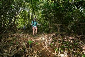 BIB: 
                            <button type="button" onclick="openModal(21749819)" class="btn btn-primary btn-sm float-right btn-popup" data-toggle="modal" data-target=".modal-high-quality">
                        <i class="fas fa-shopping-cart"></i> Add to Cart
                    </button>
                                            <button type="button" onclick="isThisMe(21749819, true)" class="btn btn-success btn-sm float-right btn-popup btn-isme hidden" data-toggle="tooltip" data-placement="bottom" title="นี่คือรูปของคุณใช่ไหม คลิกที่นี่เพื่อเอาเข้าอัลบั้ม">
                        <i class="fas fa-plus"></i> Add to album
                    </button>
                    <button type="button" onclick="isThisMe(21749819, false)" class="btn btn-warning btn-sm float-right btn-popup btn-isnotme hidden">
                        <i class="fas fa-ban"></i> Remove from album
                    </button>