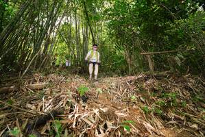 BIB: 
                            <button type="button" onclick="openModal(21751416)" class="btn btn-primary btn-sm float-right btn-popup" data-toggle="modal" data-target=".modal-high-quality">
                        <i class="fas fa-shopping-cart"></i> Add to Cart
                    </button>
                                            <button type="button" onclick="isThisMe(21751416, true)" class="btn btn-success btn-sm float-right btn-popup btn-isme hidden" data-toggle="tooltip" data-placement="bottom" title="นี่คือรูปของคุณใช่ไหม คลิกที่นี่เพื่อเอาเข้าอัลบั้ม">
                        <i class="fas fa-plus"></i> Add to album
                    </button>
                    <button type="button" onclick="isThisMe(21751416, false)" class="btn btn-warning btn-sm float-right btn-popup btn-isnotme hidden">
                        <i class="fas fa-ban"></i> Remove from album
                    </button>