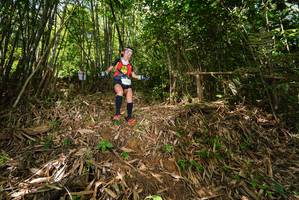 BIB: 
                            <button type="button" onclick="openModal(21745711)" class="btn btn-primary btn-sm float-right btn-popup" data-toggle="modal" data-target=".modal-high-quality">
                        <i class="fas fa-shopping-cart"></i> Add to Cart
                    </button>
                                            <button type="button" onclick="isThisMe(21745711, true)" class="btn btn-success btn-sm float-right btn-popup btn-isme hidden" data-toggle="tooltip" data-placement="bottom" title="นี่คือรูปของคุณใช่ไหม คลิกที่นี่เพื่อเอาเข้าอัลบั้ม">
                        <i class="fas fa-plus"></i> Add to album
                    </button>
                    <button type="button" onclick="isThisMe(21745711, false)" class="btn btn-warning btn-sm float-right btn-popup btn-isnotme hidden">
                        <i class="fas fa-ban"></i> Remove from album
                    </button>