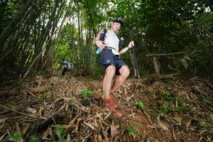 BIB: 
                            <button type="button" onclick="openModal(21783446)" class="btn btn-primary btn-sm float-right btn-popup" data-toggle="modal" data-target=".modal-high-quality">
                        <i class="fas fa-shopping-cart"></i> Add to Cart
                    </button>
                                            <button type="button" onclick="isThisMe(21783446, true)" class="btn btn-success btn-sm float-right btn-popup btn-isme hidden" data-toggle="tooltip" data-placement="bottom" title="นี่คือรูปของคุณใช่ไหม คลิกที่นี่เพื่อเอาเข้าอัลบั้ม">
                        <i class="fas fa-plus"></i> Add to album
                    </button>
                    <button type="button" onclick="isThisMe(21783446, false)" class="btn btn-warning btn-sm float-right btn-popup btn-isnotme hidden">
                        <i class="fas fa-ban"></i> Remove from album
                    </button>