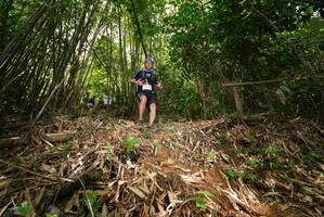 BIB: 
                            <button type="button" onclick="openModal(21751281)" class="btn btn-primary btn-sm float-right btn-popup" data-toggle="modal" data-target=".modal-high-quality">
                        <i class="fas fa-shopping-cart"></i> Add to Cart
                    </button>
                                            <button type="button" onclick="isThisMe(21751281, true)" class="btn btn-success btn-sm float-right btn-popup btn-isme hidden" data-toggle="tooltip" data-placement="bottom" title="นี่คือรูปของคุณใช่ไหม คลิกที่นี่เพื่อเอาเข้าอัลบั้ม">
                        <i class="fas fa-plus"></i> Add to album
                    </button>
                    <button type="button" onclick="isThisMe(21751281, false)" class="btn btn-warning btn-sm float-right btn-popup btn-isnotme hidden">
                        <i class="fas fa-ban"></i> Remove from album
                    </button>