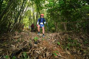 BIB: 
                            <button type="button" onclick="openModal(21784615)" class="btn btn-primary btn-sm float-right btn-popup" data-toggle="modal" data-target=".modal-high-quality">
                        <i class="fas fa-shopping-cart"></i> Add to Cart
                    </button>
                                            <button type="button" onclick="isThisMe(21784615, true)" class="btn btn-success btn-sm float-right btn-popup btn-isme hidden" data-toggle="tooltip" data-placement="bottom" title="นี่คือรูปของคุณใช่ไหม คลิกที่นี่เพื่อเอาเข้าอัลบั้ม">
                        <i class="fas fa-plus"></i> Add to album
                    </button>
                    <button type="button" onclick="isThisMe(21784615, false)" class="btn btn-warning btn-sm float-right btn-popup btn-isnotme hidden">
                        <i class="fas fa-ban"></i> Remove from album
                    </button>