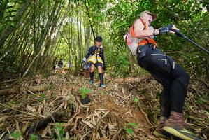 BIB: 
                            <button type="button" onclick="openModal(21774755)" class="btn btn-primary btn-sm float-right btn-popup" data-toggle="modal" data-target=".modal-high-quality">
                        <i class="fas fa-shopping-cart"></i> Add to Cart
                    </button>
                                            <button type="button" onclick="isThisMe(21774755, true)" class="btn btn-success btn-sm float-right btn-popup btn-isme hidden" data-toggle="tooltip" data-placement="bottom" title="นี่คือรูปของคุณใช่ไหม คลิกที่นี่เพื่อเอาเข้าอัลบั้ม">
                        <i class="fas fa-plus"></i> Add to album
                    </button>
                    <button type="button" onclick="isThisMe(21774755, false)" class="btn btn-warning btn-sm float-right btn-popup btn-isnotme hidden">
                        <i class="fas fa-ban"></i> Remove from album
                    </button>