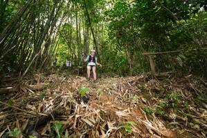 BIB: 
                            <button type="button" onclick="openModal(21751326)" class="btn btn-primary btn-sm float-right btn-popup" data-toggle="modal" data-target=".modal-high-quality">
                        <i class="fas fa-shopping-cart"></i> Add to Cart
                    </button>
                                            <button type="button" onclick="isThisMe(21751326, true)" class="btn btn-success btn-sm float-right btn-popup btn-isme hidden" data-toggle="tooltip" data-placement="bottom" title="นี่คือรูปของคุณใช่ไหม คลิกที่นี่เพื่อเอาเข้าอัลบั้ม">
                        <i class="fas fa-plus"></i> Add to album
                    </button>
                    <button type="button" onclick="isThisMe(21751326, false)" class="btn btn-warning btn-sm float-right btn-popup btn-isnotme hidden">
                        <i class="fas fa-ban"></i> Remove from album
                    </button>