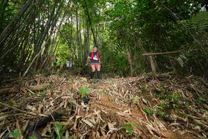 BIB: 
                            <button type="button" onclick="openModal(21751139)" class="btn btn-primary btn-sm float-right btn-popup" data-toggle="modal" data-target=".modal-high-quality">
                        <i class="fas fa-shopping-cart"></i> Add to Cart
                    </button>
                                            <button type="button" onclick="isThisMe(21751139, true)" class="btn btn-success btn-sm float-right btn-popup btn-isme hidden" data-toggle="tooltip" data-placement="bottom" title="นี่คือรูปของคุณใช่ไหม คลิกที่นี่เพื่อเอาเข้าอัลบั้ม">
                        <i class="fas fa-plus"></i> Add to album
                    </button>
                    <button type="button" onclick="isThisMe(21751139, false)" class="btn btn-warning btn-sm float-right btn-popup btn-isnotme hidden">
                        <i class="fas fa-ban"></i> Remove from album
                    </button>