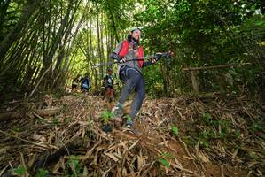 BIB: 
                            <button type="button" onclick="openModal(21784654)" class="btn btn-primary btn-sm float-right btn-popup" data-toggle="modal" data-target=".modal-high-quality">
                        <i class="fas fa-shopping-cart"></i> Add to Cart
                    </button>
                                            <button type="button" onclick="isThisMe(21784654, true)" class="btn btn-success btn-sm float-right btn-popup btn-isme hidden" data-toggle="tooltip" data-placement="bottom" title="นี่คือรูปของคุณใช่ไหม คลิกที่นี่เพื่อเอาเข้าอัลบั้ม">
                        <i class="fas fa-plus"></i> Add to album
                    </button>
                    <button type="button" onclick="isThisMe(21784654, false)" class="btn btn-warning btn-sm float-right btn-popup btn-isnotme hidden">
                        <i class="fas fa-ban"></i> Remove from album
                    </button>