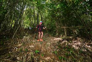 BIB: 
                            <button type="button" onclick="openModal(21746933)" class="btn btn-primary btn-sm float-right btn-popup" data-toggle="modal" data-target=".modal-high-quality">
                        <i class="fas fa-shopping-cart"></i> Add to Cart
                    </button>
                                            <button type="button" onclick="isThisMe(21746933, true)" class="btn btn-success btn-sm float-right btn-popup btn-isme hidden" data-toggle="tooltip" data-placement="bottom" title="นี่คือรูปของคุณใช่ไหม คลิกที่นี่เพื่อเอาเข้าอัลบั้ม">
                        <i class="fas fa-plus"></i> Add to album
                    </button>
                    <button type="button" onclick="isThisMe(21746933, false)" class="btn btn-warning btn-sm float-right btn-popup btn-isnotme hidden">
                        <i class="fas fa-ban"></i> Remove from album
                    </button>