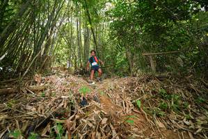 BIB: 
                            <button type="button" onclick="openModal(21788988)" class="btn btn-primary btn-sm float-right btn-popup" data-toggle="modal" data-target=".modal-high-quality">
                        <i class="fas fa-shopping-cart"></i> Add to Cart
                    </button>
                                            <button type="button" onclick="isThisMe(21788988, true)" class="btn btn-success btn-sm float-right btn-popup btn-isme hidden" data-toggle="tooltip" data-placement="bottom" title="นี่คือรูปของคุณใช่ไหม คลิกที่นี่เพื่อเอาเข้าอัลบั้ม">
                        <i class="fas fa-plus"></i> Add to album
                    </button>
                    <button type="button" onclick="isThisMe(21788988, false)" class="btn btn-warning btn-sm float-right btn-popup btn-isnotme hidden">
                        <i class="fas fa-ban"></i> Remove from album
                    </button>