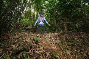 BIB: 
                            <button type="button" onclick="openModal(21755581)" class="btn btn-primary btn-sm float-right btn-popup" data-toggle="modal" data-target=".modal-high-quality">
                        <i class="fas fa-shopping-cart"></i> Add to Cart
                    </button>
                                            <button type="button" onclick="isThisMe(21755581, true)" class="btn btn-success btn-sm float-right btn-popup btn-isme hidden" data-toggle="tooltip" data-placement="bottom" title="นี่คือรูปของคุณใช่ไหม คลิกที่นี่เพื่อเอาเข้าอัลบั้ม">
                        <i class="fas fa-plus"></i> Add to album
                    </button>
                    <button type="button" onclick="isThisMe(21755581, false)" class="btn btn-warning btn-sm float-right btn-popup btn-isnotme hidden">
                        <i class="fas fa-ban"></i> Remove from album
                    </button>