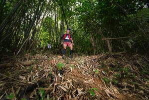 BIB: 
                            <button type="button" onclick="openModal(21751129)" class="btn btn-primary btn-sm float-right btn-popup" data-toggle="modal" data-target=".modal-high-quality">
                        <i class="fas fa-shopping-cart"></i> Add to Cart
                    </button>
                                            <button type="button" onclick="isThisMe(21751129, true)" class="btn btn-success btn-sm float-right btn-popup btn-isme hidden" data-toggle="tooltip" data-placement="bottom" title="นี่คือรูปของคุณใช่ไหม คลิกที่นี่เพื่อเอาเข้าอัลบั้ม">
                        <i class="fas fa-plus"></i> Add to album
                    </button>
                    <button type="button" onclick="isThisMe(21751129, false)" class="btn btn-warning btn-sm float-right btn-popup btn-isnotme hidden">
                        <i class="fas fa-ban"></i> Remove from album
                    </button>