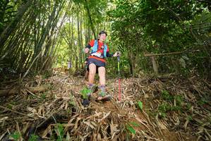 BIB: 
                            <button type="button" onclick="openModal(21785706)" class="btn btn-primary btn-sm float-right btn-popup" data-toggle="modal" data-target=".modal-high-quality">
                        <i class="fas fa-shopping-cart"></i> Add to Cart
                    </button>
                                            <button type="button" onclick="isThisMe(21785706, true)" class="btn btn-success btn-sm float-right btn-popup btn-isme hidden" data-toggle="tooltip" data-placement="bottom" title="นี่คือรูปของคุณใช่ไหม คลิกที่นี่เพื่อเอาเข้าอัลบั้ม">
                        <i class="fas fa-plus"></i> Add to album
                    </button>
                    <button type="button" onclick="isThisMe(21785706, false)" class="btn btn-warning btn-sm float-right btn-popup btn-isnotme hidden">
                        <i class="fas fa-ban"></i> Remove from album
                    </button>