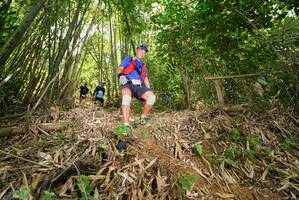 BIB: 
                            <button type="button" onclick="openModal(21785946)" class="btn btn-primary btn-sm float-right btn-popup" data-toggle="modal" data-target=".modal-high-quality">
                        <i class="fas fa-shopping-cart"></i> Add to Cart
                    </button>
                                            <button type="button" onclick="isThisMe(21785946, true)" class="btn btn-success btn-sm float-right btn-popup btn-isme hidden" data-toggle="tooltip" data-placement="bottom" title="นี่คือรูปของคุณใช่ไหม คลิกที่นี่เพื่อเอาเข้าอัลบั้ม">
                        <i class="fas fa-plus"></i> Add to album
                    </button>
                    <button type="button" onclick="isThisMe(21785946, false)" class="btn btn-warning btn-sm float-right btn-popup btn-isnotme hidden">
                        <i class="fas fa-ban"></i> Remove from album
                    </button>