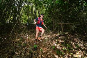 BIB: 
                            <button type="button" onclick="openModal(21749193)" class="btn btn-primary btn-sm float-right btn-popup" data-toggle="modal" data-target=".modal-high-quality">
                        <i class="fas fa-shopping-cart"></i> Add to Cart
                    </button>
                                            <button type="button" onclick="isThisMe(21749193, true)" class="btn btn-success btn-sm float-right btn-popup btn-isme hidden" data-toggle="tooltip" data-placement="bottom" title="นี่คือรูปของคุณใช่ไหม คลิกที่นี่เพื่อเอาเข้าอัลบั้ม">
                        <i class="fas fa-plus"></i> Add to album
                    </button>
                    <button type="button" onclick="isThisMe(21749193, false)" class="btn btn-warning btn-sm float-right btn-popup btn-isnotme hidden">
                        <i class="fas fa-ban"></i> Remove from album
                    </button>