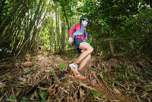 BIB: 
                            <button type="button" onclick="openModal(21788181)" class="btn btn-primary btn-sm float-right btn-popup" data-toggle="modal" data-target=".modal-high-quality">
                        <i class="fas fa-shopping-cart"></i> Add to Cart
                    </button>
                                            <button type="button" onclick="isThisMe(21788181, true)" class="btn btn-success btn-sm float-right btn-popup btn-isme hidden" data-toggle="tooltip" data-placement="bottom" title="นี่คือรูปของคุณใช่ไหม คลิกที่นี่เพื่อเอาเข้าอัลบั้ม">
                        <i class="fas fa-plus"></i> Add to album
                    </button>
                    <button type="button" onclick="isThisMe(21788181, false)" class="btn btn-warning btn-sm float-right btn-popup btn-isnotme hidden">
                        <i class="fas fa-ban"></i> Remove from album
                    </button>