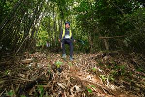 BIB: 
                            <button type="button" onclick="openModal(21750617)" class="btn btn-primary btn-sm float-right btn-popup" data-toggle="modal" data-target=".modal-high-quality">
                        <i class="fas fa-shopping-cart"></i> Add to Cart
                    </button>
                                            <button type="button" onclick="isThisMe(21750617, true)" class="btn btn-success btn-sm float-right btn-popup btn-isme hidden" data-toggle="tooltip" data-placement="bottom" title="นี่คือรูปของคุณใช่ไหม คลิกที่นี่เพื่อเอาเข้าอัลบั้ม">
                        <i class="fas fa-plus"></i> Add to album
                    </button>
                    <button type="button" onclick="isThisMe(21750617, false)" class="btn btn-warning btn-sm float-right btn-popup btn-isnotme hidden">
                        <i class="fas fa-ban"></i> Remove from album
                    </button>