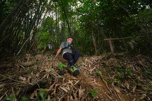 BIB: 
                            <button type="button" onclick="openModal(21778443)" class="btn btn-primary btn-sm float-right btn-popup" data-toggle="modal" data-target=".modal-high-quality">
                        <i class="fas fa-shopping-cart"></i> Add to Cart
                    </button>
                                            <button type="button" onclick="isThisMe(21778443, true)" class="btn btn-success btn-sm float-right btn-popup btn-isme hidden" data-toggle="tooltip" data-placement="bottom" title="นี่คือรูปของคุณใช่ไหม คลิกที่นี่เพื่อเอาเข้าอัลบั้ม">
                        <i class="fas fa-plus"></i> Add to album
                    </button>
                    <button type="button" onclick="isThisMe(21778443, false)" class="btn btn-warning btn-sm float-right btn-popup btn-isnotme hidden">
                        <i class="fas fa-ban"></i> Remove from album
                    </button>