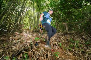 BIB: 
                            <button type="button" onclick="openModal(21787905)" class="btn btn-primary btn-sm float-right btn-popup" data-toggle="modal" data-target=".modal-high-quality">
                        <i class="fas fa-shopping-cart"></i> Add to Cart
                    </button>
                                            <button type="button" onclick="isThisMe(21787905, true)" class="btn btn-success btn-sm float-right btn-popup btn-isme hidden" data-toggle="tooltip" data-placement="bottom" title="นี่คือรูปของคุณใช่ไหม คลิกที่นี่เพื่อเอาเข้าอัลบั้ม">
                        <i class="fas fa-plus"></i> Add to album
                    </button>
                    <button type="button" onclick="isThisMe(21787905, false)" class="btn btn-warning btn-sm float-right btn-popup btn-isnotme hidden">
                        <i class="fas fa-ban"></i> Remove from album
                    </button>