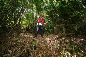 BIB: 
                            <button type="button" onclick="openModal(21749528)" class="btn btn-primary btn-sm float-right btn-popup" data-toggle="modal" data-target=".modal-high-quality">
                        <i class="fas fa-shopping-cart"></i> Add to Cart
                    </button>
                                            <button type="button" onclick="isThisMe(21749528, true)" class="btn btn-success btn-sm float-right btn-popup btn-isme hidden" data-toggle="tooltip" data-placement="bottom" title="นี่คือรูปของคุณใช่ไหม คลิกที่นี่เพื่อเอาเข้าอัลบั้ม">
                        <i class="fas fa-plus"></i> Add to album
                    </button>
                    <button type="button" onclick="isThisMe(21749528, false)" class="btn btn-warning btn-sm float-right btn-popup btn-isnotme hidden">
                        <i class="fas fa-ban"></i> Remove from album
                    </button>