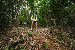 BIB: 
                            <button type="button" onclick="openModal(21778264)" class="btn btn-primary btn-sm float-right btn-popup" data-toggle="modal" data-target=".modal-high-quality">
                        <i class="fas fa-shopping-cart"></i> Add to Cart
                    </button>
                                            <button type="button" onclick="isThisMe(21778264, true)" class="btn btn-success btn-sm float-right btn-popup btn-isme hidden" data-toggle="tooltip" data-placement="bottom" title="นี่คือรูปของคุณใช่ไหม คลิกที่นี่เพื่อเอาเข้าอัลบั้ม">
                        <i class="fas fa-plus"></i> Add to album
                    </button>
                    <button type="button" onclick="isThisMe(21778264, false)" class="btn btn-warning btn-sm float-right btn-popup btn-isnotme hidden">
                        <i class="fas fa-ban"></i> Remove from album
                    </button>