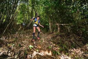 BIB: 
                            <button type="button" onclick="openModal(21745164)" class="btn btn-primary btn-sm float-right btn-popup" data-toggle="modal" data-target=".modal-high-quality">
                        <i class="fas fa-shopping-cart"></i> Add to Cart
                    </button>
                                            <button type="button" onclick="isThisMe(21745164, true)" class="btn btn-success btn-sm float-right btn-popup btn-isme hidden" data-toggle="tooltip" data-placement="bottom" title="นี่คือรูปของคุณใช่ไหม คลิกที่นี่เพื่อเอาเข้าอัลบั้ม">
                        <i class="fas fa-plus"></i> Add to album
                    </button>
                    <button type="button" onclick="isThisMe(21745164, false)" class="btn btn-warning btn-sm float-right btn-popup btn-isnotme hidden">
                        <i class="fas fa-ban"></i> Remove from album
                    </button>