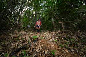 BIB: 
                            <button type="button" onclick="openModal(21753062)" class="btn btn-primary btn-sm float-right btn-popup" data-toggle="modal" data-target=".modal-high-quality">
                        <i class="fas fa-shopping-cart"></i> Add to Cart
                    </button>
                                            <button type="button" onclick="isThisMe(21753062, true)" class="btn btn-success btn-sm float-right btn-popup btn-isme hidden" data-toggle="tooltip" data-placement="bottom" title="นี่คือรูปของคุณใช่ไหม คลิกที่นี่เพื่อเอาเข้าอัลบั้ม">
                        <i class="fas fa-plus"></i> Add to album
                    </button>
                    <button type="button" onclick="isThisMe(21753062, false)" class="btn btn-warning btn-sm float-right btn-popup btn-isnotme hidden">
                        <i class="fas fa-ban"></i> Remove from album
                    </button>