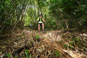 BIB: 
                            <button type="button" onclick="openModal(21749932)" class="btn btn-primary btn-sm float-right btn-popup" data-toggle="modal" data-target=".modal-high-quality">
                        <i class="fas fa-shopping-cart"></i> Add to Cart
                    </button>
                                            <button type="button" onclick="isThisMe(21749932, true)" class="btn btn-success btn-sm float-right btn-popup btn-isme hidden" data-toggle="tooltip" data-placement="bottom" title="นี่คือรูปของคุณใช่ไหม คลิกที่นี่เพื่อเอาเข้าอัลบั้ม">
                        <i class="fas fa-plus"></i> Add to album
                    </button>
                    <button type="button" onclick="isThisMe(21749932, false)" class="btn btn-warning btn-sm float-right btn-popup btn-isnotme hidden">
                        <i class="fas fa-ban"></i> Remove from album
                    </button>