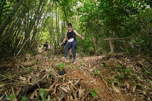 BIB: 
                            <button type="button" onclick="openModal(21776687)" class="btn btn-primary btn-sm float-right btn-popup" data-toggle="modal" data-target=".modal-high-quality">
                        <i class="fas fa-shopping-cart"></i> Add to Cart
                    </button>
                                            <button type="button" onclick="isThisMe(21776687, true)" class="btn btn-success btn-sm float-right btn-popup btn-isme hidden" data-toggle="tooltip" data-placement="bottom" title="นี่คือรูปของคุณใช่ไหม คลิกที่นี่เพื่อเอาเข้าอัลบั้ม">
                        <i class="fas fa-plus"></i> Add to album
                    </button>
                    <button type="button" onclick="isThisMe(21776687, false)" class="btn btn-warning btn-sm float-right btn-popup btn-isnotme hidden">
                        <i class="fas fa-ban"></i> Remove from album
                    </button>