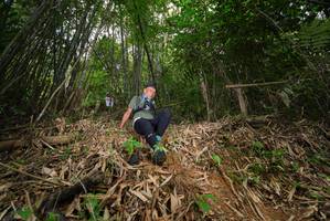 BIB: 
                            <button type="button" onclick="openModal(21778408)" class="btn btn-primary btn-sm float-right btn-popup" data-toggle="modal" data-target=".modal-high-quality">
                        <i class="fas fa-shopping-cart"></i> Add to Cart
                    </button>
                                            <button type="button" onclick="isThisMe(21778408, true)" class="btn btn-success btn-sm float-right btn-popup btn-isme hidden" data-toggle="tooltip" data-placement="bottom" title="นี่คือรูปของคุณใช่ไหม คลิกที่นี่เพื่อเอาเข้าอัลบั้ม">
                        <i class="fas fa-plus"></i> Add to album
                    </button>
                    <button type="button" onclick="isThisMe(21778408, false)" class="btn btn-warning btn-sm float-right btn-popup btn-isnotme hidden">
                        <i class="fas fa-ban"></i> Remove from album
                    </button>