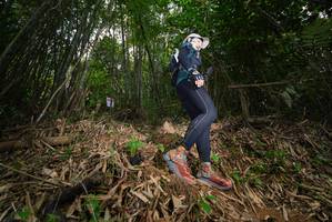 BIB: 
                            <button type="button" onclick="openModal(21765783)" class="btn btn-primary btn-sm float-right btn-popup" data-toggle="modal" data-target=".modal-high-quality">
                        <i class="fas fa-shopping-cart"></i> Add to Cart
                    </button>
                                            <button type="button" onclick="isThisMe(21765783, true)" class="btn btn-success btn-sm float-right btn-popup btn-isme hidden" data-toggle="tooltip" data-placement="bottom" title="นี่คือรูปของคุณใช่ไหม คลิกที่นี่เพื่อเอาเข้าอัลบั้ม">
                        <i class="fas fa-plus"></i> Add to album
                    </button>
                    <button type="button" onclick="isThisMe(21765783, false)" class="btn btn-warning btn-sm float-right btn-popup btn-isnotme hidden">
                        <i class="fas fa-ban"></i> Remove from album
                    </button>