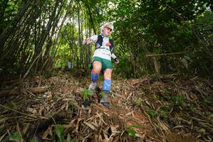 BIB: 
                            <button type="button" onclick="openModal(21753389)" class="btn btn-primary btn-sm float-right btn-popup" data-toggle="modal" data-target=".modal-high-quality">
                        <i class="fas fa-shopping-cart"></i> Add to Cart
                    </button>
                                            <button type="button" onclick="isThisMe(21753389, true)" class="btn btn-success btn-sm float-right btn-popup btn-isme hidden" data-toggle="tooltip" data-placement="bottom" title="นี่คือรูปของคุณใช่ไหม คลิกที่นี่เพื่อเอาเข้าอัลบั้ม">
                        <i class="fas fa-plus"></i> Add to album
                    </button>
                    <button type="button" onclick="isThisMe(21753389, false)" class="btn btn-warning btn-sm float-right btn-popup btn-isnotme hidden">
                        <i class="fas fa-ban"></i> Remove from album
                    </button>