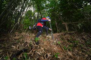 BIB: 
                            <button type="button" onclick="openModal(21755697)" class="btn btn-primary btn-sm float-right btn-popup" data-toggle="modal" data-target=".modal-high-quality">
                        <i class="fas fa-shopping-cart"></i> Add to Cart
                    </button>
                                            <button type="button" onclick="isThisMe(21755697, true)" class="btn btn-success btn-sm float-right btn-popup btn-isme hidden" data-toggle="tooltip" data-placement="bottom" title="นี่คือรูปของคุณใช่ไหม คลิกที่นี่เพื่อเอาเข้าอัลบั้ม">
                        <i class="fas fa-plus"></i> Add to album
                    </button>
                    <button type="button" onclick="isThisMe(21755697, false)" class="btn btn-warning btn-sm float-right btn-popup btn-isnotme hidden">
                        <i class="fas fa-ban"></i> Remove from album
                    </button>