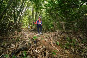 BIB: 
                            <button type="button" onclick="openModal(21785917)" class="btn btn-primary btn-sm float-right btn-popup" data-toggle="modal" data-target=".modal-high-quality">
                        <i class="fas fa-shopping-cart"></i> Add to Cart
                    </button>
                                            <button type="button" onclick="isThisMe(21785917, true)" class="btn btn-success btn-sm float-right btn-popup btn-isme hidden" data-toggle="tooltip" data-placement="bottom" title="นี่คือรูปของคุณใช่ไหม คลิกที่นี่เพื่อเอาเข้าอัลบั้ม">
                        <i class="fas fa-plus"></i> Add to album
                    </button>
                    <button type="button" onclick="isThisMe(21785917, false)" class="btn btn-warning btn-sm float-right btn-popup btn-isnotme hidden">
                        <i class="fas fa-ban"></i> Remove from album
                    </button>