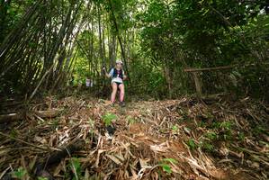 BIB: 
                            <button type="button" onclick="openModal(21751340)" class="btn btn-primary btn-sm float-right btn-popup" data-toggle="modal" data-target=".modal-high-quality">
                        <i class="fas fa-shopping-cart"></i> Add to Cart
                    </button>
                                            <button type="button" onclick="isThisMe(21751340, true)" class="btn btn-success btn-sm float-right btn-popup btn-isme hidden" data-toggle="tooltip" data-placement="bottom" title="นี่คือรูปของคุณใช่ไหม คลิกที่นี่เพื่อเอาเข้าอัลบั้ม">
                        <i class="fas fa-plus"></i> Add to album
                    </button>
                    <button type="button" onclick="isThisMe(21751340, false)" class="btn btn-warning btn-sm float-right btn-popup btn-isnotme hidden">
                        <i class="fas fa-ban"></i> Remove from album
                    </button>