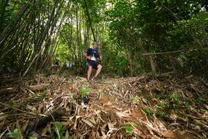 BIB: 
                            <button type="button" onclick="openModal(21751270)" class="btn btn-primary btn-sm float-right btn-popup" data-toggle="modal" data-target=".modal-high-quality">
                        <i class="fas fa-shopping-cart"></i> Add to Cart
                    </button>
                                            <button type="button" onclick="isThisMe(21751270, true)" class="btn btn-success btn-sm float-right btn-popup btn-isme hidden" data-toggle="tooltip" data-placement="bottom" title="นี่คือรูปของคุณใช่ไหม คลิกที่นี่เพื่อเอาเข้าอัลบั้ม">
                        <i class="fas fa-plus"></i> Add to album
                    </button>
                    <button type="button" onclick="isThisMe(21751270, false)" class="btn btn-warning btn-sm float-right btn-popup btn-isnotme hidden">
                        <i class="fas fa-ban"></i> Remove from album
                    </button>