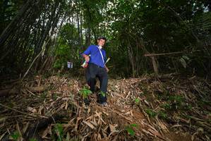 BIB: 
                            <button type="button" onclick="openModal(21751532)" class="btn btn-primary btn-sm float-right btn-popup" data-toggle="modal" data-target=".modal-high-quality">
                        <i class="fas fa-shopping-cart"></i> Add to Cart
                    </button>
                                            <button type="button" onclick="isThisMe(21751532, true)" class="btn btn-success btn-sm float-right btn-popup btn-isme hidden" data-toggle="tooltip" data-placement="bottom" title="นี่คือรูปของคุณใช่ไหม คลิกที่นี่เพื่อเอาเข้าอัลบั้ม">
                        <i class="fas fa-plus"></i> Add to album
                    </button>
                    <button type="button" onclick="isThisMe(21751532, false)" class="btn btn-warning btn-sm float-right btn-popup btn-isnotme hidden">
                        <i class="fas fa-ban"></i> Remove from album
                    </button>