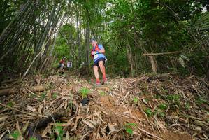 BIB: 
                            <button type="button" onclick="openModal(21752784)" class="btn btn-primary btn-sm float-right btn-popup" data-toggle="modal" data-target=".modal-high-quality">
                        <i class="fas fa-shopping-cart"></i> Add to Cart
                    </button>
                                            <button type="button" onclick="isThisMe(21752784, true)" class="btn btn-success btn-sm float-right btn-popup btn-isme hidden" data-toggle="tooltip" data-placement="bottom" title="นี่คือรูปของคุณใช่ไหม คลิกที่นี่เพื่อเอาเข้าอัลบั้ม">
                        <i class="fas fa-plus"></i> Add to album
                    </button>
                    <button type="button" onclick="isThisMe(21752784, false)" class="btn btn-warning btn-sm float-right btn-popup btn-isnotme hidden">
                        <i class="fas fa-ban"></i> Remove from album
                    </button>