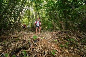 BIB: 
                            <button type="button" onclick="openModal(21755122)" class="btn btn-primary btn-sm float-right btn-popup" data-toggle="modal" data-target=".modal-high-quality">
                        <i class="fas fa-shopping-cart"></i> Add to Cart
                    </button>
                                            <button type="button" onclick="isThisMe(21755122, true)" class="btn btn-success btn-sm float-right btn-popup btn-isme hidden" data-toggle="tooltip" data-placement="bottom" title="นี่คือรูปของคุณใช่ไหม คลิกที่นี่เพื่อเอาเข้าอัลบั้ม">
                        <i class="fas fa-plus"></i> Add to album
                    </button>
                    <button type="button" onclick="isThisMe(21755122, false)" class="btn btn-warning btn-sm float-right btn-popup btn-isnotme hidden">
                        <i class="fas fa-ban"></i> Remove from album
                    </button>