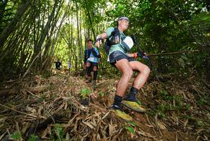 BIB: 
                            <button type="button" onclick="openModal(21784695)" class="btn btn-primary btn-sm float-right btn-popup" data-toggle="modal" data-target=".modal-high-quality">
                        <i class="fas fa-shopping-cart"></i> Add to Cart
                    </button>
                                            <button type="button" onclick="isThisMe(21784695, true)" class="btn btn-success btn-sm float-right btn-popup btn-isme hidden" data-toggle="tooltip" data-placement="bottom" title="นี่คือรูปของคุณใช่ไหม คลิกที่นี่เพื่อเอาเข้าอัลบั้ม">
                        <i class="fas fa-plus"></i> Add to album
                    </button>
                    <button type="button" onclick="isThisMe(21784695, false)" class="btn btn-warning btn-sm float-right btn-popup btn-isnotme hidden">
                        <i class="fas fa-ban"></i> Remove from album
                    </button>