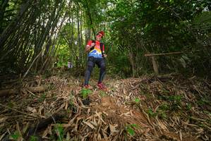 BIB: 
                            <button type="button" onclick="openModal(21763779)" class="btn btn-primary btn-sm float-right btn-popup" data-toggle="modal" data-target=".modal-high-quality">
                        <i class="fas fa-shopping-cart"></i> Add to Cart
                    </button>
                                            <button type="button" onclick="isThisMe(21763779, true)" class="btn btn-success btn-sm float-right btn-popup btn-isme hidden" data-toggle="tooltip" data-placement="bottom" title="นี่คือรูปของคุณใช่ไหม คลิกที่นี่เพื่อเอาเข้าอัลบั้ม">
                        <i class="fas fa-plus"></i> Add to album
                    </button>
                    <button type="button" onclick="isThisMe(21763779, false)" class="btn btn-warning btn-sm float-right btn-popup btn-isnotme hidden">
                        <i class="fas fa-ban"></i> Remove from album
                    </button>