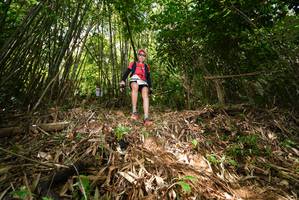 BIB: 
                            <button type="button" onclick="openModal(21750273)" class="btn btn-primary btn-sm float-right btn-popup" data-toggle="modal" data-target=".modal-high-quality">
                        <i class="fas fa-shopping-cart"></i> Add to Cart
                    </button>
                                            <button type="button" onclick="isThisMe(21750273, true)" class="btn btn-success btn-sm float-right btn-popup btn-isme hidden" data-toggle="tooltip" data-placement="bottom" title="นี่คือรูปของคุณใช่ไหม คลิกที่นี่เพื่อเอาเข้าอัลบั้ม">
                        <i class="fas fa-plus"></i> Add to album
                    </button>
                    <button type="button" onclick="isThisMe(21750273, false)" class="btn btn-warning btn-sm float-right btn-popup btn-isnotme hidden">
                        <i class="fas fa-ban"></i> Remove from album
                    </button>