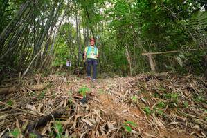 BIB: 
                            <button type="button" onclick="openModal(21754070)" class="btn btn-primary btn-sm float-right btn-popup" data-toggle="modal" data-target=".modal-high-quality">
                        <i class="fas fa-shopping-cart"></i> Add to Cart
                    </button>
                                            <button type="button" onclick="isThisMe(21754070, true)" class="btn btn-success btn-sm float-right btn-popup btn-isme hidden" data-toggle="tooltip" data-placement="bottom" title="นี่คือรูปของคุณใช่ไหม คลิกที่นี่เพื่อเอาเข้าอัลบั้ม">
                        <i class="fas fa-plus"></i> Add to album
                    </button>
                    <button type="button" onclick="isThisMe(21754070, false)" class="btn btn-warning btn-sm float-right btn-popup btn-isnotme hidden">
                        <i class="fas fa-ban"></i> Remove from album
                    </button>