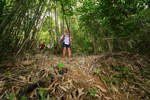 BIB: 
                            <button type="button" onclick="openModal(21755133)" class="btn btn-primary btn-sm float-right btn-popup" data-toggle="modal" data-target=".modal-high-quality">
                        <i class="fas fa-shopping-cart"></i> Add to Cart
                    </button>
                                            <button type="button" onclick="isThisMe(21755133, true)" class="btn btn-success btn-sm float-right btn-popup btn-isme hidden" data-toggle="tooltip" data-placement="bottom" title="นี่คือรูปของคุณใช่ไหม คลิกที่นี่เพื่อเอาเข้าอัลบั้ม">
                        <i class="fas fa-plus"></i> Add to album
                    </button>
                    <button type="button" onclick="isThisMe(21755133, false)" class="btn btn-warning btn-sm float-right btn-popup btn-isnotme hidden">
                        <i class="fas fa-ban"></i> Remove from album
                    </button>