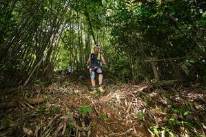 BIB: 
                            <button type="button" onclick="openModal(21749683)" class="btn btn-primary btn-sm float-right btn-popup" data-toggle="modal" data-target=".modal-high-quality">
                        <i class="fas fa-shopping-cart"></i> Add to Cart
                    </button>
                                            <button type="button" onclick="isThisMe(21749683, true)" class="btn btn-success btn-sm float-right btn-popup btn-isme hidden" data-toggle="tooltip" data-placement="bottom" title="นี่คือรูปของคุณใช่ไหม คลิกที่นี่เพื่อเอาเข้าอัลบั้ม">
                        <i class="fas fa-plus"></i> Add to album
                    </button>
                    <button type="button" onclick="isThisMe(21749683, false)" class="btn btn-warning btn-sm float-right btn-popup btn-isnotme hidden">
                        <i class="fas fa-ban"></i> Remove from album
                    </button>