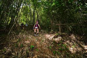 BIB: 
                            <button type="button" onclick="openModal(21748212)" class="btn btn-primary btn-sm float-right btn-popup" data-toggle="modal" data-target=".modal-high-quality">
                        <i class="fas fa-shopping-cart"></i> Add to Cart
                    </button>
                                            <button type="button" onclick="isThisMe(21748212, true)" class="btn btn-success btn-sm float-right btn-popup btn-isme hidden" data-toggle="tooltip" data-placement="bottom" title="นี่คือรูปของคุณใช่ไหม คลิกที่นี่เพื่อเอาเข้าอัลบั้ม">
                        <i class="fas fa-plus"></i> Add to album
                    </button>
                    <button type="button" onclick="isThisMe(21748212, false)" class="btn btn-warning btn-sm float-right btn-popup btn-isnotme hidden">
                        <i class="fas fa-ban"></i> Remove from album
                    </button>