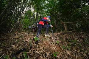 BIB: 
                            <button type="button" onclick="openModal(21755700)" class="btn btn-primary btn-sm float-right btn-popup" data-toggle="modal" data-target=".modal-high-quality">
                        <i class="fas fa-shopping-cart"></i> Add to Cart
                    </button>
                                            <button type="button" onclick="isThisMe(21755700, true)" class="btn btn-success btn-sm float-right btn-popup btn-isme hidden" data-toggle="tooltip" data-placement="bottom" title="นี่คือรูปของคุณใช่ไหม คลิกที่นี่เพื่อเอาเข้าอัลบั้ม">
                        <i class="fas fa-plus"></i> Add to album
                    </button>
                    <button type="button" onclick="isThisMe(21755700, false)" class="btn btn-warning btn-sm float-right btn-popup btn-isnotme hidden">
                        <i class="fas fa-ban"></i> Remove from album
                    </button>