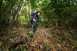 BIB: 
                            <button type="button" onclick="openModal(21765113)" class="btn btn-primary btn-sm float-right btn-popup" data-toggle="modal" data-target=".modal-high-quality">
                        <i class="fas fa-shopping-cart"></i> Add to Cart
                    </button>
                                            <button type="button" onclick="isThisMe(21765113, true)" class="btn btn-success btn-sm float-right btn-popup btn-isme hidden" data-toggle="tooltip" data-placement="bottom" title="นี่คือรูปของคุณใช่ไหม คลิกที่นี่เพื่อเอาเข้าอัลบั้ม">
                        <i class="fas fa-plus"></i> Add to album
                    </button>
                    <button type="button" onclick="isThisMe(21765113, false)" class="btn btn-warning btn-sm float-right btn-popup btn-isnotme hidden">
                        <i class="fas fa-ban"></i> Remove from album
                    </button>