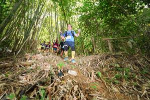 BIB: 
                            <button type="button" onclick="openModal(21789785)" class="btn btn-primary btn-sm float-right btn-popup" data-toggle="modal" data-target=".modal-high-quality">
                        <i class="fas fa-shopping-cart"></i> Add to Cart
                    </button>
                                            <button type="button" onclick="isThisMe(21789785, true)" class="btn btn-success btn-sm float-right btn-popup btn-isme hidden" data-toggle="tooltip" data-placement="bottom" title="นี่คือรูปของคุณใช่ไหม คลิกที่นี่เพื่อเอาเข้าอัลบั้ม">
                        <i class="fas fa-plus"></i> Add to album
                    </button>
                    <button type="button" onclick="isThisMe(21789785, false)" class="btn btn-warning btn-sm float-right btn-popup btn-isnotme hidden">
                        <i class="fas fa-ban"></i> Remove from album
                    </button>