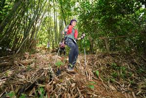 BIB: 
                            <button type="button" onclick="openModal(21788672)" class="btn btn-primary btn-sm float-right btn-popup" data-toggle="modal" data-target=".modal-high-quality">
                        <i class="fas fa-shopping-cart"></i> Add to Cart
                    </button>
                                            <button type="button" onclick="isThisMe(21788672, true)" class="btn btn-success btn-sm float-right btn-popup btn-isme hidden" data-toggle="tooltip" data-placement="bottom" title="นี่คือรูปของคุณใช่ไหม คลิกที่นี่เพื่อเอาเข้าอัลบั้ม">
                        <i class="fas fa-plus"></i> Add to album
                    </button>
                    <button type="button" onclick="isThisMe(21788672, false)" class="btn btn-warning btn-sm float-right btn-popup btn-isnotme hidden">
                        <i class="fas fa-ban"></i> Remove from album
                    </button>